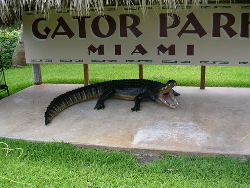 Gator Park Miami